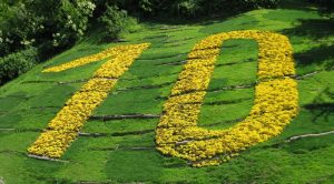 The number ten in flowers in a field, near San Antonio, TX