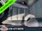 2024 Ford Mustang GT Premium Performance Pkg