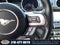 2021 Ford Mustang EcoBoost 101A