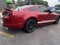 2014 Ford Mustang Shelby GT500