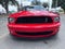 2007 Ford Mustang Shelby GT500